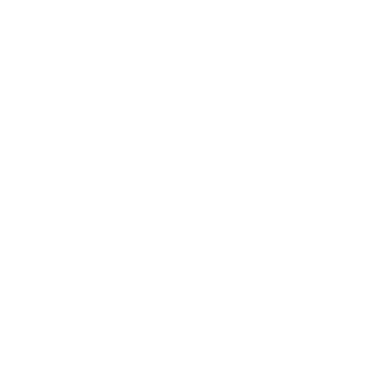 Anne-bombenger-logo-blanc